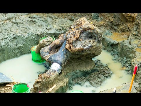 13,600-Year-Old Mastodon Skull Found in Iowa