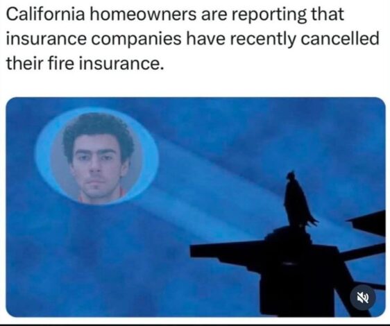 1-10-2025 california residents found out their fire insurance was cancelled in recent months before the wildfires luigi mangione dank memes When California residents realize their fire insurance was canceled