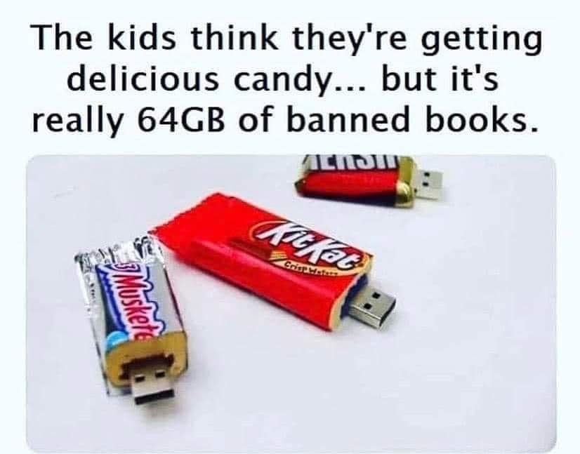 Sounds like a good plan. 10-17-2023 the kids think theyre getting candy but its really 64 GB of banned books dank memes