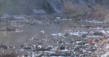 Murky water of the South Fork San Gabriel River, affected by the Georgetown sewage spill near Wolf Ranch, is filled with debris. The San Gabriel River contamination poses risks to Blue Hole Park and I-35.