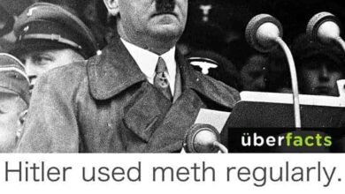 Hitler used meth regularly the angry German voice The Angry German Voice Story: #AngryGermanVoice #AGV