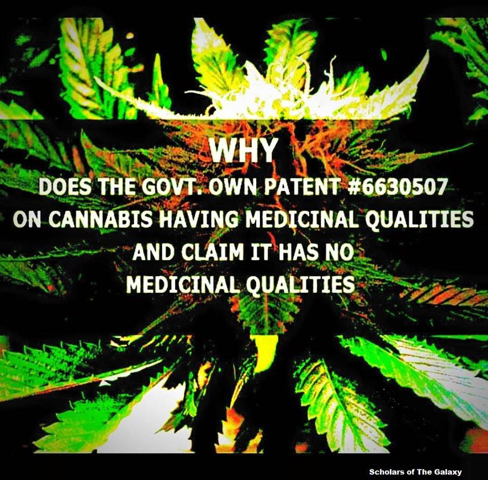 US government marijuana cannabis patent medical benefits
