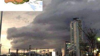 Someone found the Dragon Balls! O_o