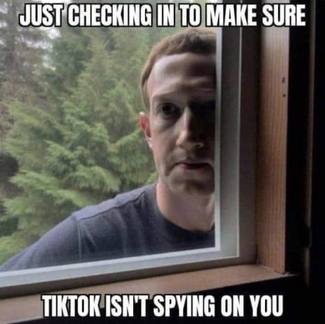 mark zuckerberg meta facebook just checking in to make sure tiktok isnt spying on you dank memes