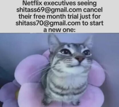 And there's not a damn thing executive Catzu can do about it!