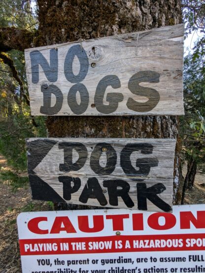So don't bring your dog when you're on the way to the dog park, got it.