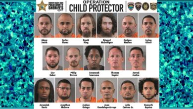 3 Disney employees, 2 military vets, poker pro among 17 child predators busted in Florida undercover sting