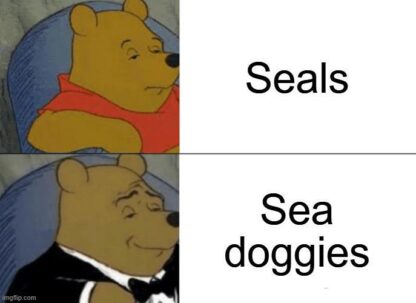 Seals are called Sea Doggies now.