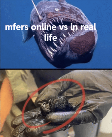 MFers online do be like this. 4-06-2025 mfers online compared to in real life ill fight any one of you dank memes