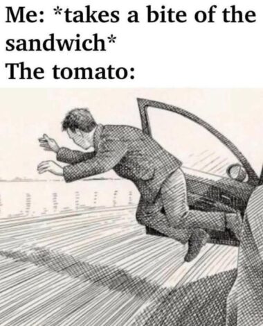 En mand i jakkesæt springer dramatisk fra en bil, der repræsenterer tomaten, der flygter fra en sandwich, en humoristisk take på sandwichkonstruktion. Billedet perfekt indkapslet bloggens emne.