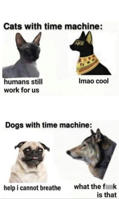 Poor pugs can't even breathe right and yet we still keep making them.