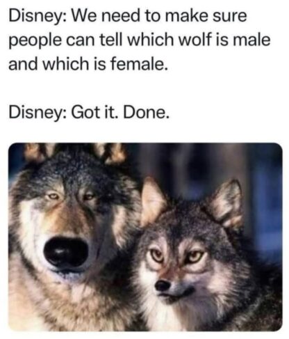 It just worked out that way.