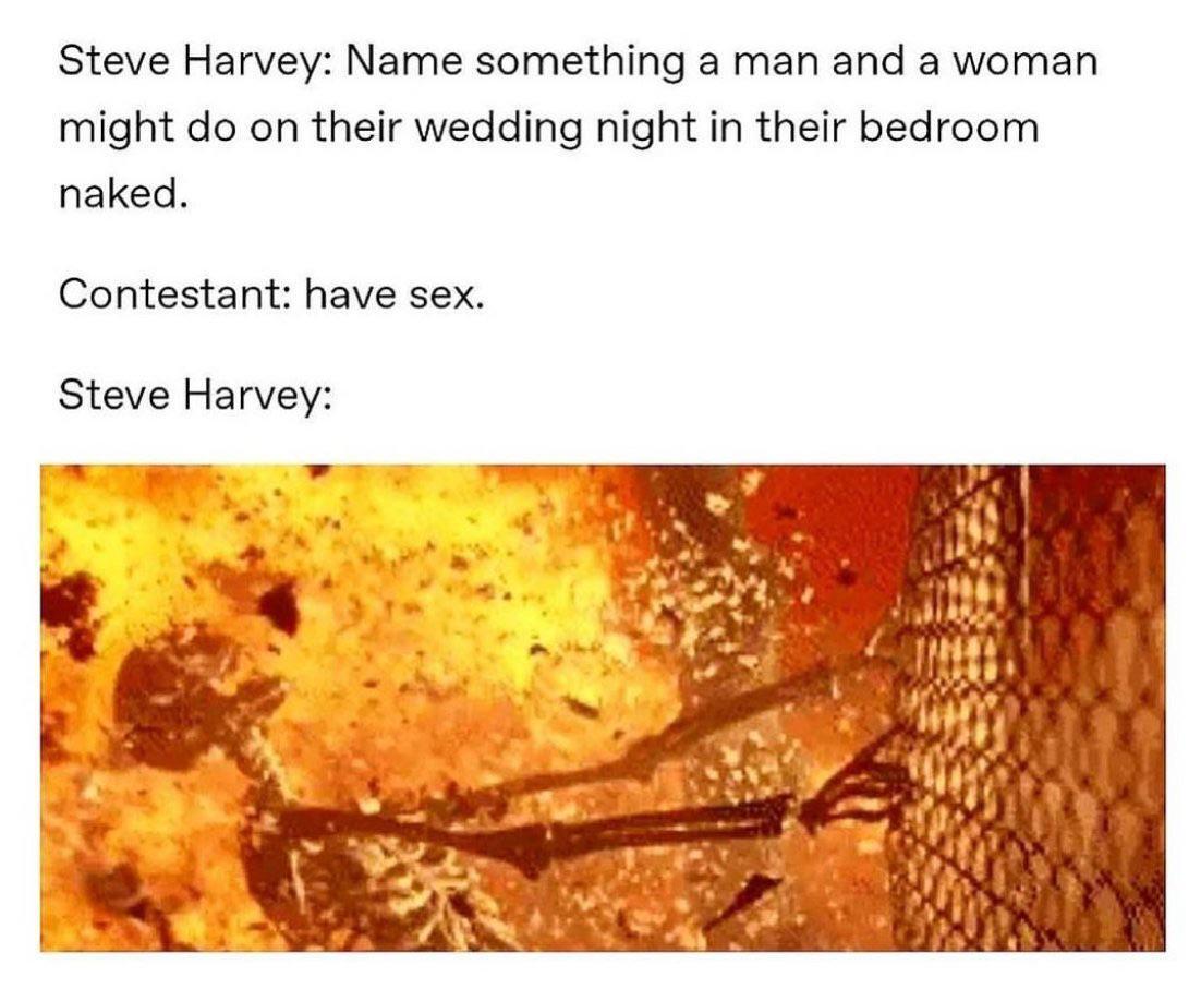 Steve Harvey always gets wild and crazy over the silliest things 4-18-2025 name something a man and woman might do on their wedding night in their bedroom naked steve harvey contestant have sex