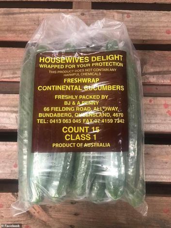 Cucumbers Housewives Delight brand