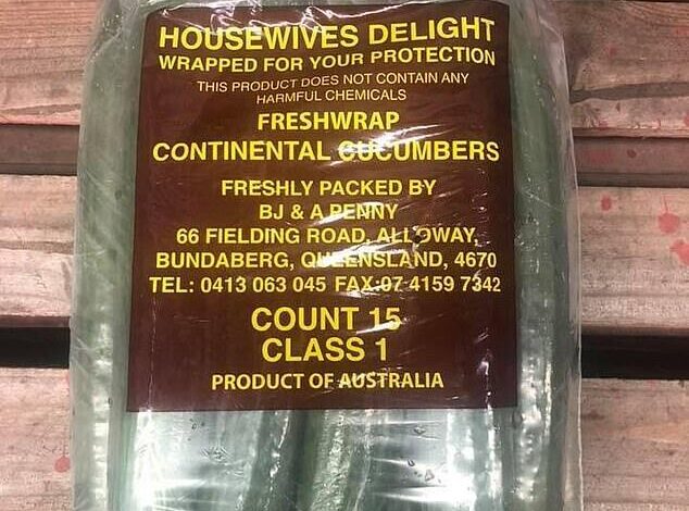 Cucumbers Housewives Delight brand