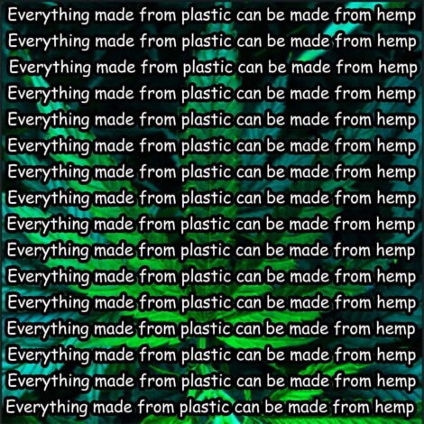 Everything made from plastic can be made from hemp