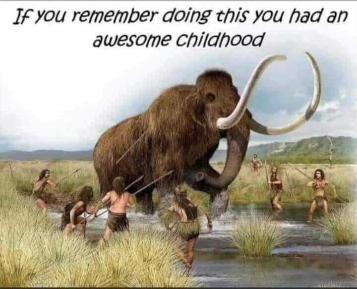 7-12-2024 if you rememeber this you had an awesome childhood wooly mammoth hunters dank memes