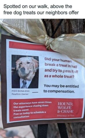 Compensation? More like CHOMPensation!