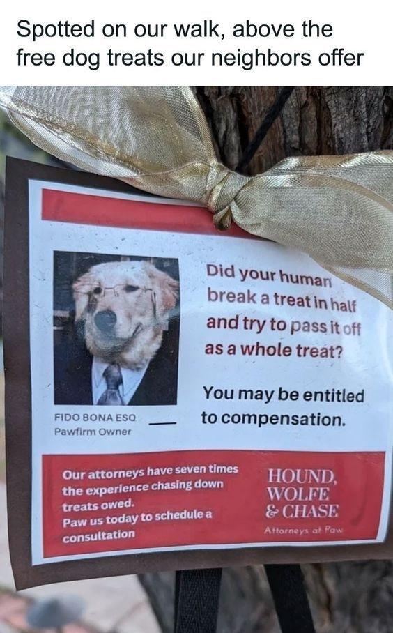 Compensation? More like CHOMPensation!