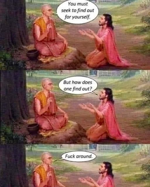 The fuck around and find out philosophy. dank memes