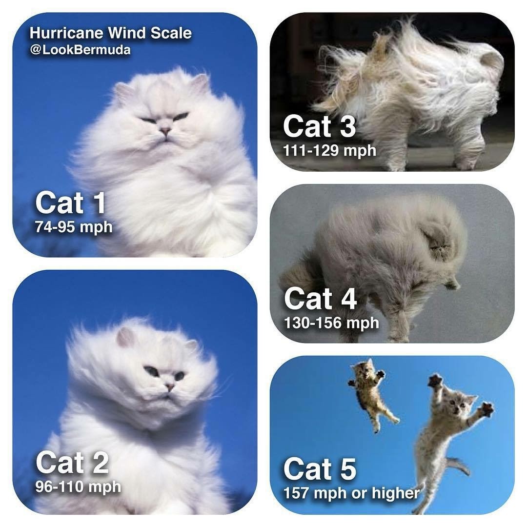 8-19-2023 know hurricanes hurricane hilary 2023 category cats