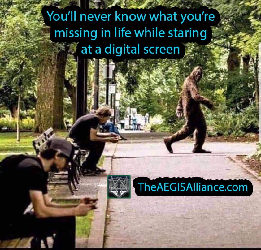 You'll never know what you're missing in life while staring at a digital screen. bigfoot sighting meme