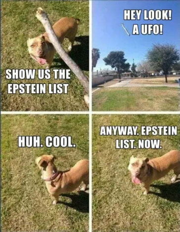 Good boy. look a ufo anyway epstein client list now dank memes