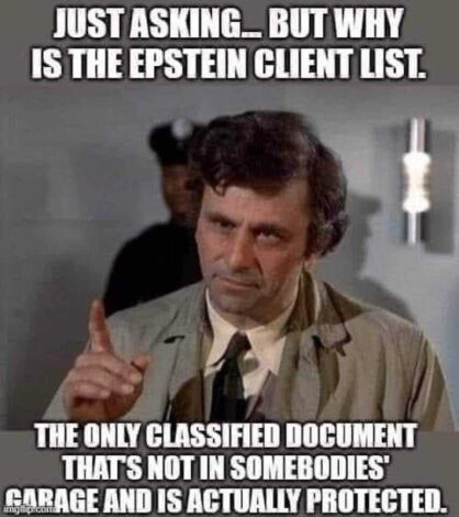 It's a fair question to ask. 8-4-2023 why is the epstein client list the only classified document no in somebodies garage and is protected dank memes