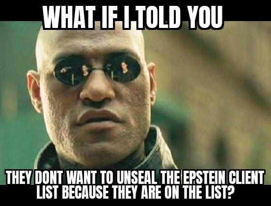 Release the Epstein/Maxwell Client List! 8-9-2023 they dont want to unseal the epstein client list because theyre on it dank memes