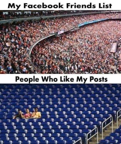 It does be like this. 9-03-2023 my facebook friends list compared to the small number of people who like my posts dank memes