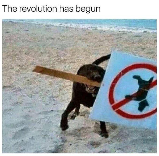 the revolution begins has begun and so it begins