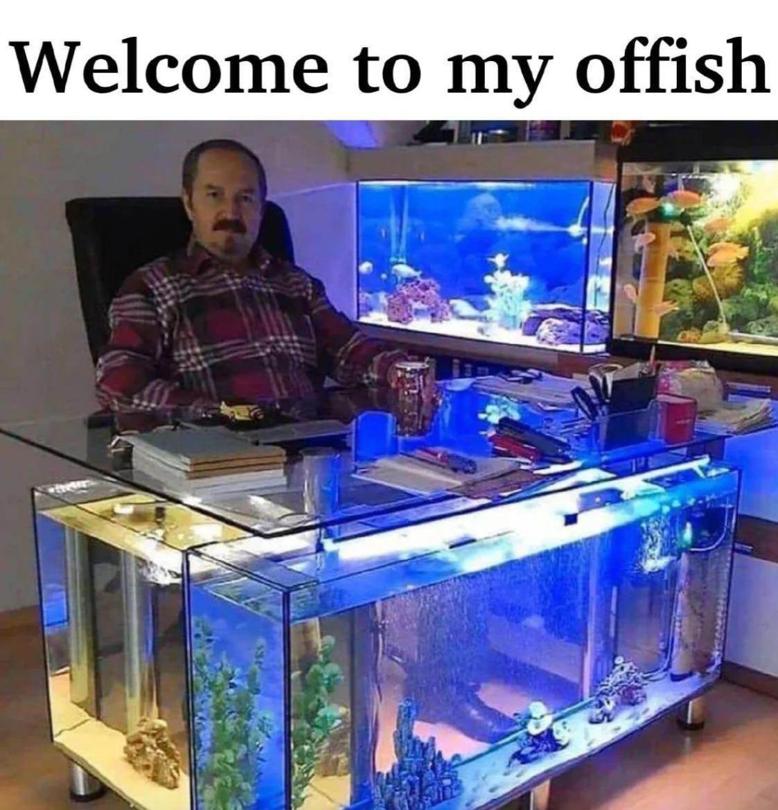 9-21-2024 welcome to my fish office offish dank memes