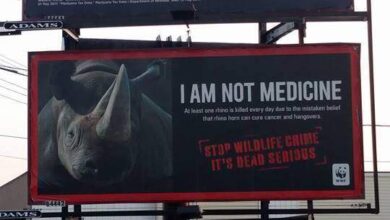 animal rights illegal wildlife trade billboard legal marijuana revenue