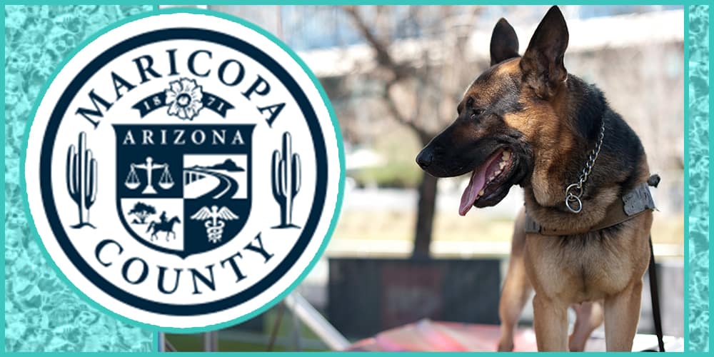 Arizona Police Officer Suspended After His K9 Dies in Hot Car
