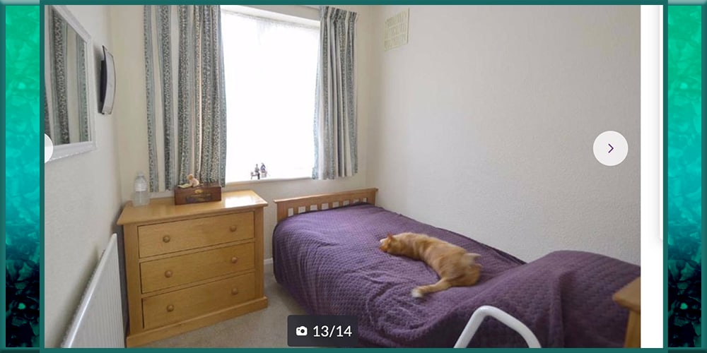 British Man checks out neighbor’s real estate listing, sees his own cat inside the property
