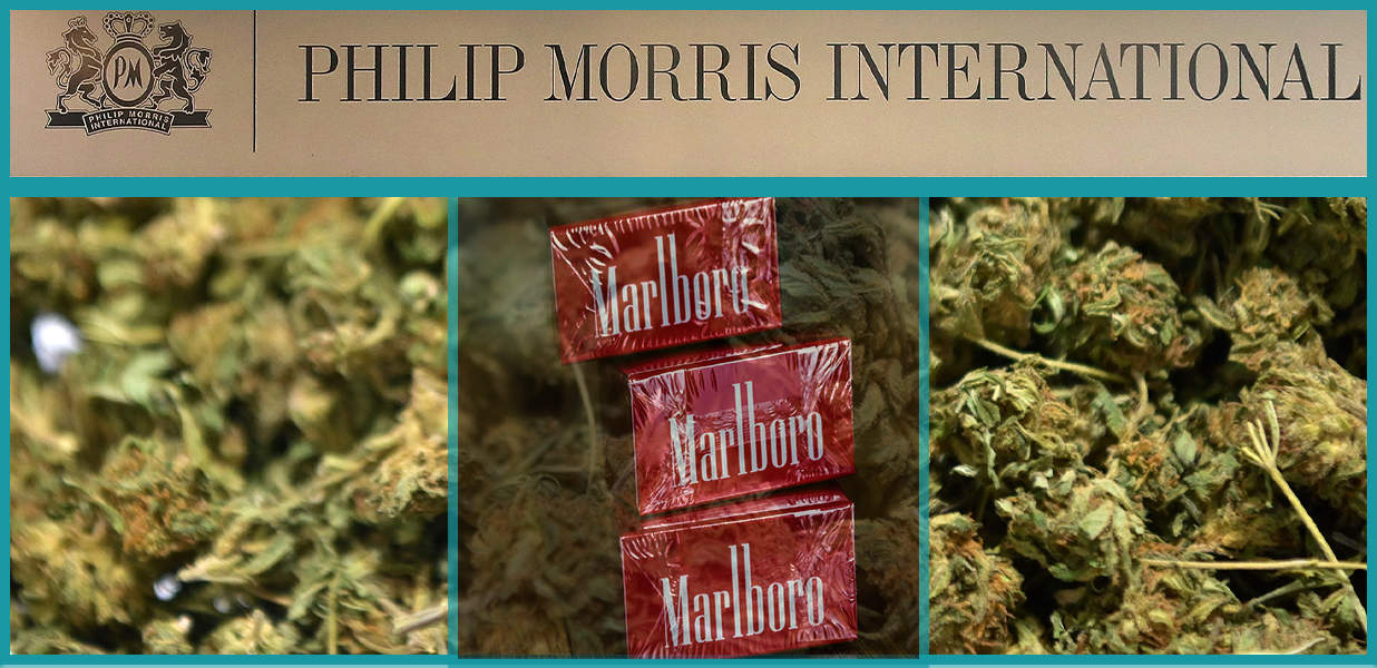 CEO says Marlboro-maker Philip Morris is eyeing the marijuana market