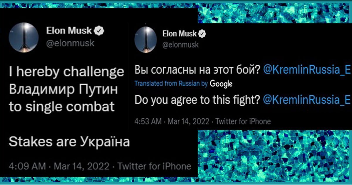 Elon Musk challenges Vladimir Putin to a one-on-one fight for Ukraine