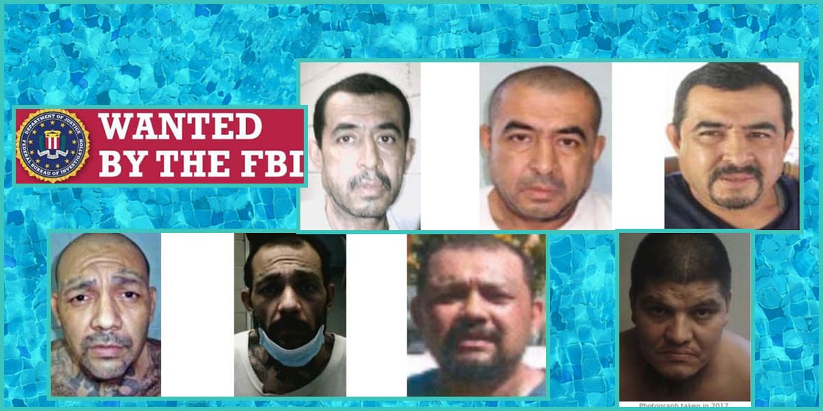 FBI indicts 14 MS-13 gang leaders on terrorism charges