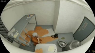 Overhead fisheye view of Jeffrey Epstein's cell, showing a figure in orange on the floor amidst spilled liquid. The image relates to the recent DOJ release and subsequent removal of Epstein files, sparking debate about the OIG report and SHU cameras.