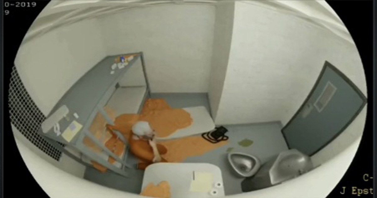 Graphic on the absence of interior cameras in Jeffrey Epstein's Metropolitan Correctional Center cell, from The AEGIS Alliance.