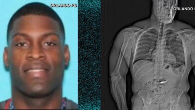 Florida Man jewelry thief swallows $770K worth of Tiffany earrings just before he was arrested