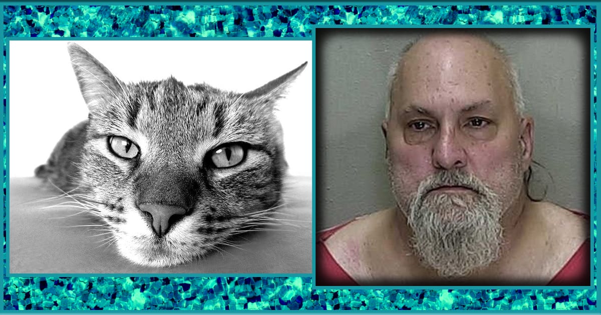 Florida man arrested for killing neighbor in fight over victim's cat on his property