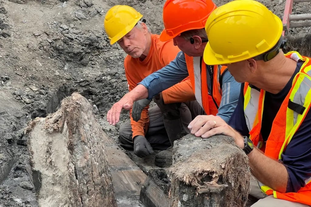 Florida road crew unearths 1800s shipwreck in highway during routine construction work