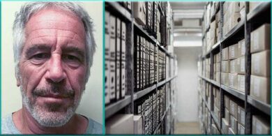 See the Jeffrey Epstein Court Documents a Federal Judge Ordered to be Destroyed (PDFs)