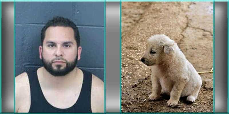 New Mexico Father Arrested for Abusing and Threatening 4 Sons, Killed Puppies