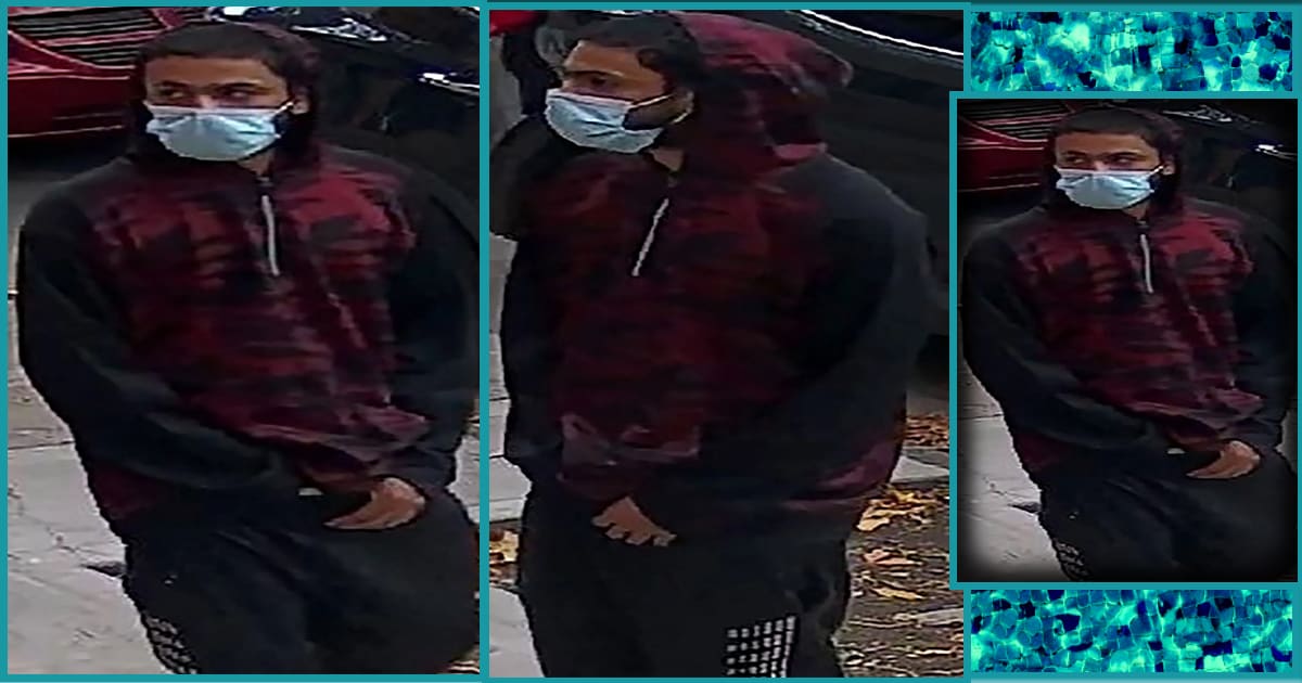 NYPD is looking for a man who exposed himself, masturbated in front of 9-year-old girl on public bus