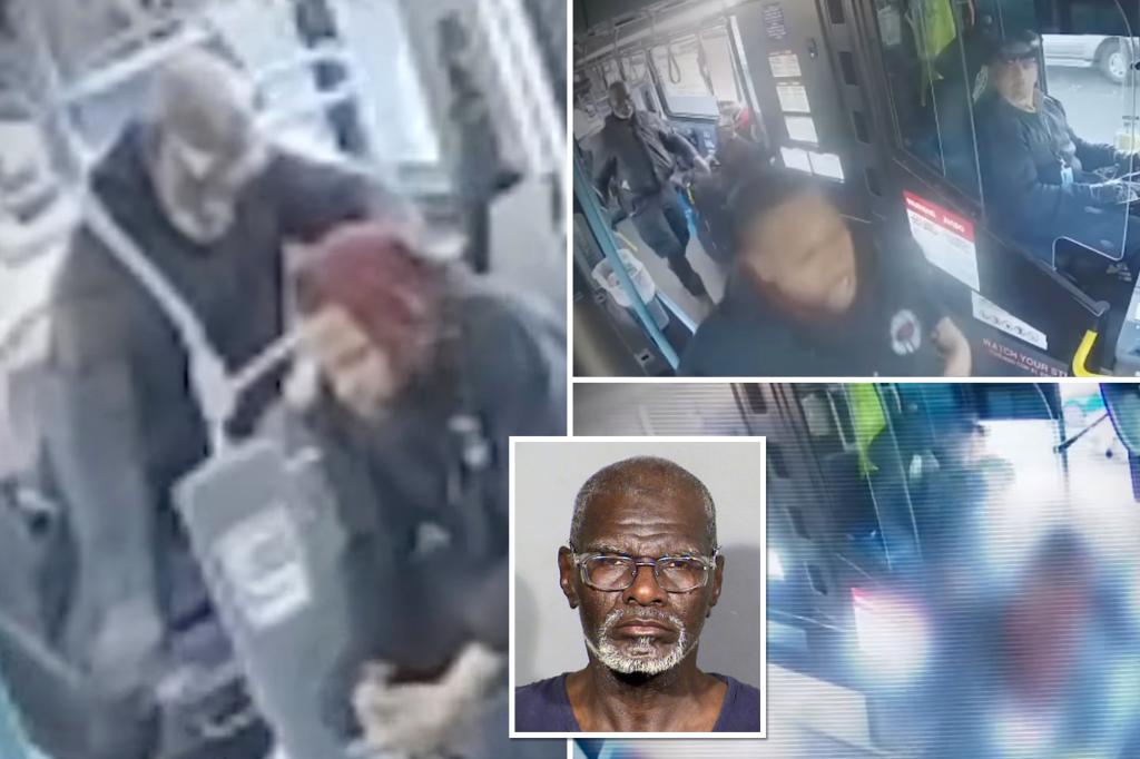 Video shows man stabbing bus passenger 33 times as driver continues route