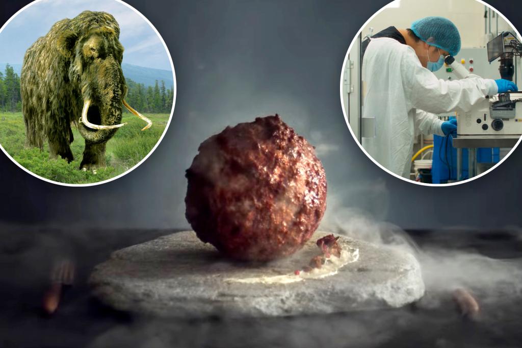 Scientists create woolly mammoth meatball — but are too scared to eat it