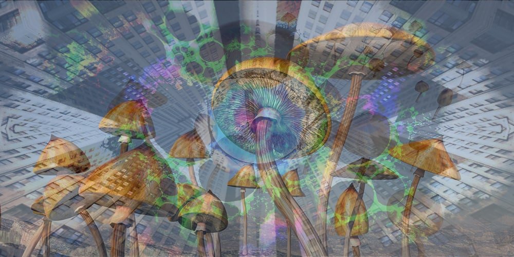 New York University launching $10M Center for Psychedelic Medicine in Manhattan