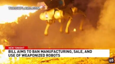 New York law would ban civilians from weaponizing their robots